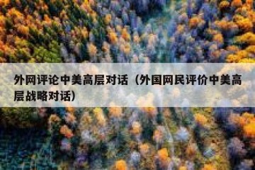 外网评论中美高层对话（外国网民评价中美高层战略对话）
