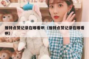 推特点赞记录在哪看啊（推特点赞记录在哪看啊）