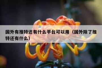 国外有推特还有什么平台可以用（国外除了推特还有什么）