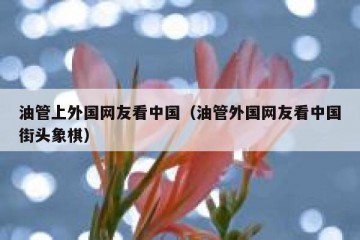油管上外国网友看中国（油管外国网友看中国街头象棋）