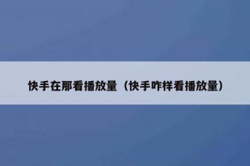快手在那看播放量（快手咋样看播放量）