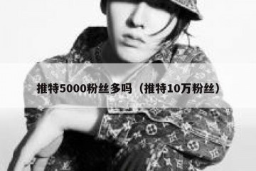 推特5000粉丝多吗（推特10万粉丝）