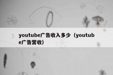 youtube广告收入多少（youtube广告营收）