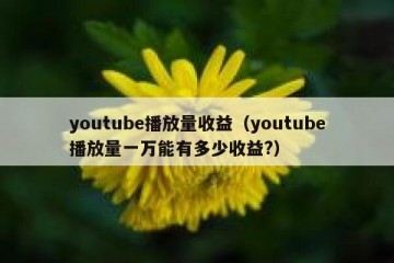 youtube播放量收益（youtube播放量一万能有多少收益?）