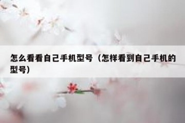 怎么看看自己手机型号（怎样看到自己手机的型号）