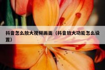 抖音怎么放大视频画面（抖音放大功能怎么设置）