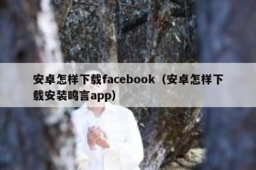安卓怎样下载facebook（安卓怎样下载安装鸣言app）