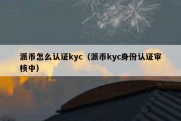 派币怎么认证kyc（派币kyc身份认证审核中）