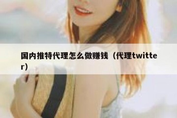 国内推特代理怎么做赚钱（代理twitter）