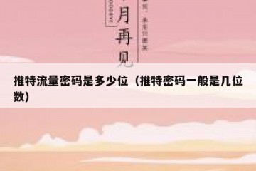 推特流量密码是多少位（推特密码一般是几位数）