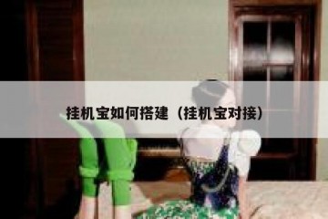 挂机宝如何搭建（挂机宝对接）