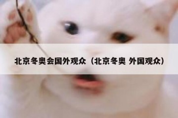北京冬奥会国外观众（北京冬奥 外国观众）