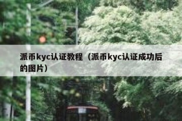 派币kyc认证教程（派币kyc认证成功后的图片）