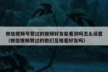 微信视频号赞过的视频好友能看到吗怎么设置（微信视频赞过的他们互相是好友吗）