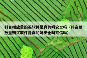 抖音播放量购买软件是真的吗安全吗（抖音播放量购买软件是真的吗安全吗可信吗）