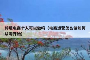 跨境电商个人可以做吗（电商运营怎么做如何从零开始）