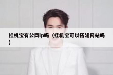 挂机宝有公网ip吗（挂机宝可以搭建网站吗）