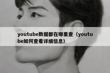 youtube数据都在哪里查（youtube如何查看详细信息）