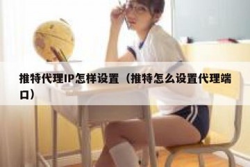 推特代理IP怎样设置（推特怎么设置代理端口）