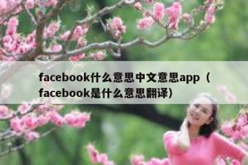 facebook什么意思中文意思app（facebook是什么意思翻译）