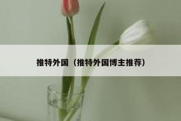 推特外国（推特外国博主推荐）