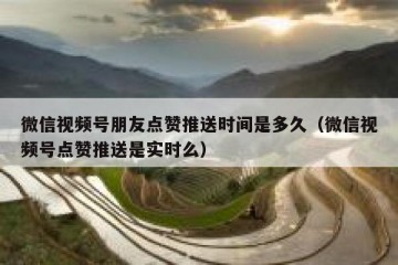 微信视频号朋友点赞推送时间是多久（微信视频号点赞推送是实时么）