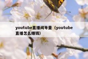 youtube直播间导量（youtube直播怎么赚钱）