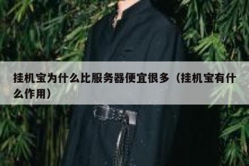 挂机宝为什么比服务器便宜很多（挂机宝有什么作用）
