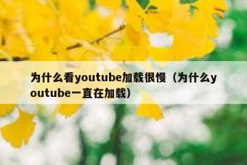 为什么看youtube加载很慢（为什么youtube一直在加载）