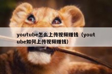 youtube怎么上传视频赚钱（youtube如何上传视频赚钱）