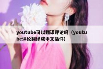 youtube可以翻译评论吗（youtube评论翻译成中文插件）