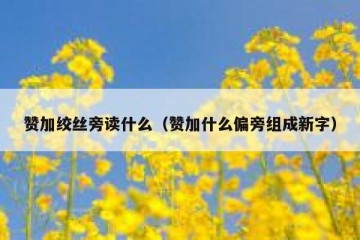 赞加绞丝旁读什么（赞加什么偏旁组成新字）
