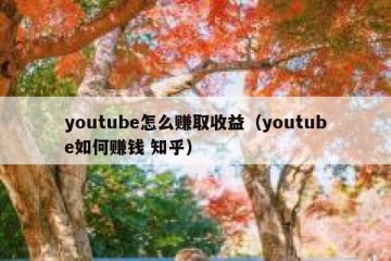 youtube怎么赚取收益（youtube如何赚钱 知乎）