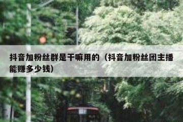 抖音加粉丝群是干嘛用的（抖音加粉丝团主播能赚多少钱）