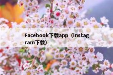 Facebook下载app（instagram下载）