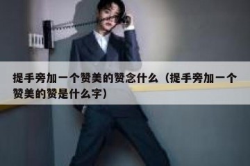 提手旁加一个赞美的赞念什么（提手旁加一个赞美的赞是什么字）