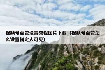 视频号点赞设置教程图片下载（视频号点赞怎么设置指定人可见）