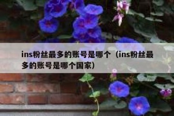 ins粉丝最多的账号是哪个（ins粉丝最多的账号是哪个国家）