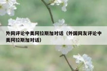 外网评论中美阿拉斯加对话（外国网友评论中美阿拉斯加对话）