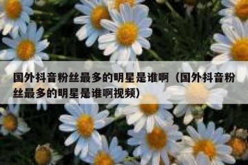 国外抖音粉丝最多的明星是谁啊（国外抖音粉丝最多的明星是谁啊视频）