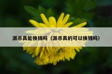 派币真能换钱吗（派币真的可以换钱吗）