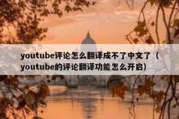 youtube评论怎么翻译成不了中文了（youtube的评论翻译功能怎么开启）