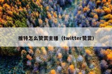 推特怎么赞赏主播（twitter赞赏）