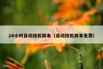 24小时自动挂机脚本（自动挂机脚本免费）