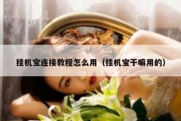 挂机宝连接教程怎么用（挂机宝干嘛用的）