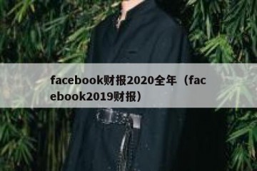 facebook财报2020全年（facebook2019财报）