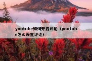 youtube如何开启评论（youtube怎么设置评论）