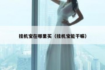 挂机宝在哪里买（挂机宝能干嘛）