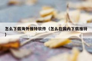 怎么下载海外推特软件（怎么在国内下载推特）