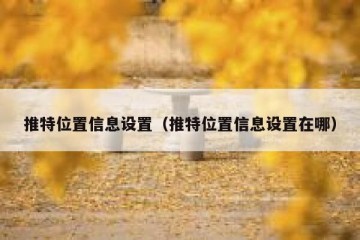 推特位置信息设置（推特位置信息设置在哪）